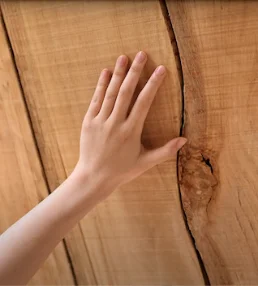 AI Timber by Maestro